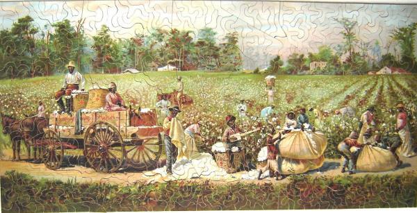 Cotton Plantation