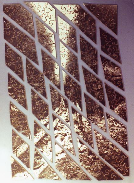 The Flume (showing sections)