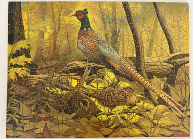 King of the Golden Glen